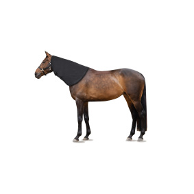 Buy Horze Turin Medium Weight Turnout Rug, 150g