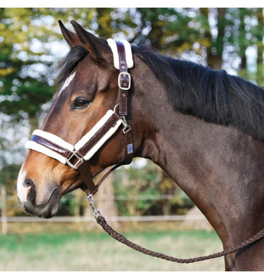 BUSSE COMFY-LACK HEADCOLLAR