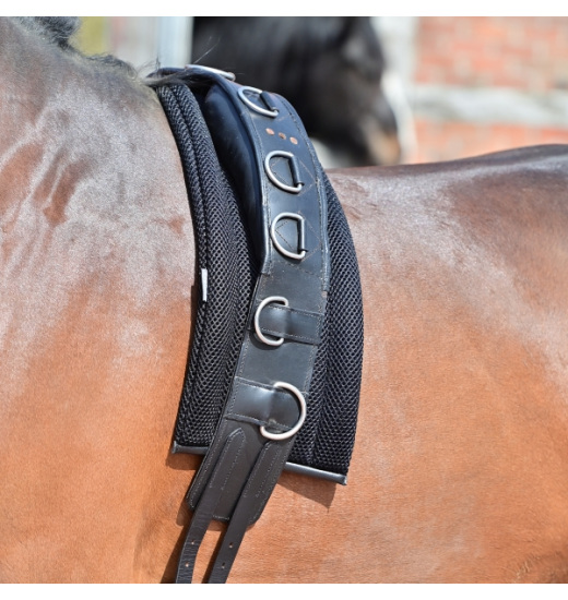 Busse 3d Air Effect Lunging Pad For Horses Equishop Equestrian Shop