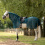 BUSSE MOSKITO III EQUESTRIAN EXERCISE FLY SHEET