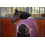 Eskadron ESKADRON ACRYLIC HORSE SWEAT RUG HERITAGE