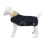 Spooks SPOOKS DOG COAT CLASSIC