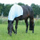 Busse BUSSE ECZEMA NECK COVER FOR HORSE EXTENSIVE ZIP