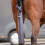 Busse BUSSE CLEAN TAIL GUARD FOR HORSE