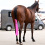 Busse BUSSE CLEAN TAIL GUARD FOR HORSE