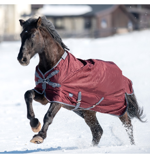 BUSSE FLEXIBLE PRO 100 HORSE TURNOUT RUG