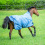 Busse BUSSE RAIN DEAR 00 HORSE TURNOUT RUG