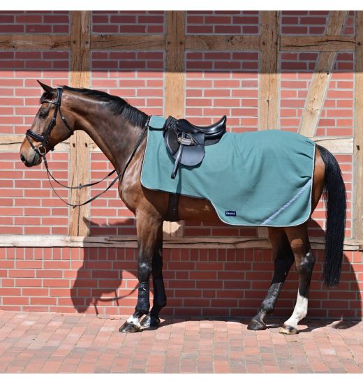 https://cdn.equishop.com/74139-large_default/busse-fleecetrainer-iii-horse-exercise-sheet.jpg