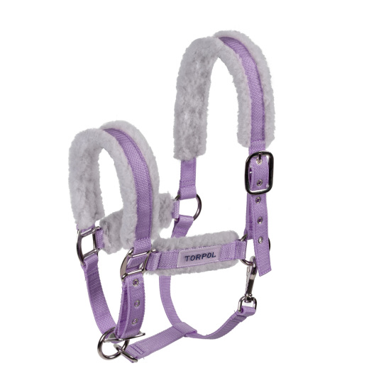 TORPOL DARE TO DREAM HORSE HALTER