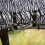 Busse BUSSE COMFORT FLEXI ZEBRA HORSE TURNOUT FLY SHEET