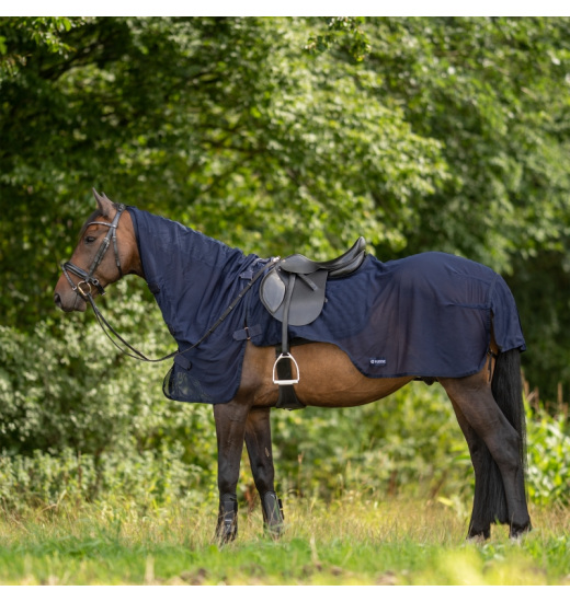 BUSSE FLEXI FLY III HORSE EXERCISE FLY SHEET Equestrian Shop