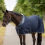 Busse BUSSE 3D AIR PREMIUM HORSE COOLER RUG