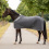 Busse BUSSE 3D AIR PREMIUM HORSE COOLER RUG