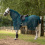 Busse BUSSE MOSKITO-FRANSEN III HORSE EXERCISE FLY SHEET