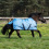 Busse BUSSE WINDCHILLY MINI 100 HORSE TURNOUT RUG