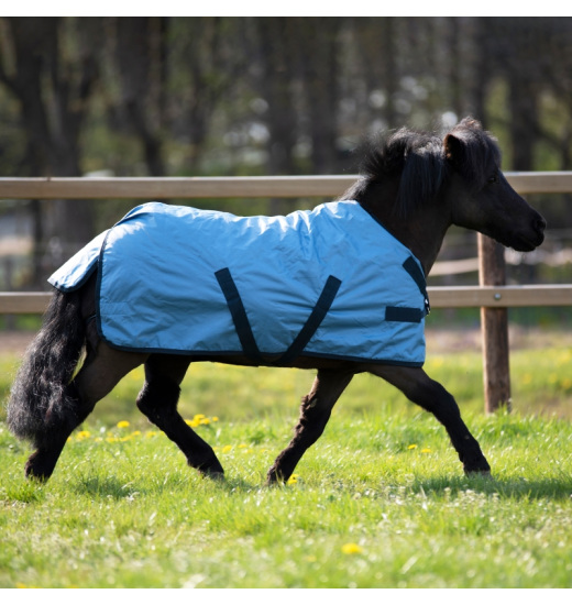 BUSSE WINDCHILLY MINI 00 HORSE TURNOUT RUG