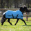 BUSSE WINDCHILLY MINI 00 HORSE TURNOUT RUG