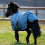 Busse BUSSE WINDCHILLY MINI 00 HORSE TURNOUT RUG