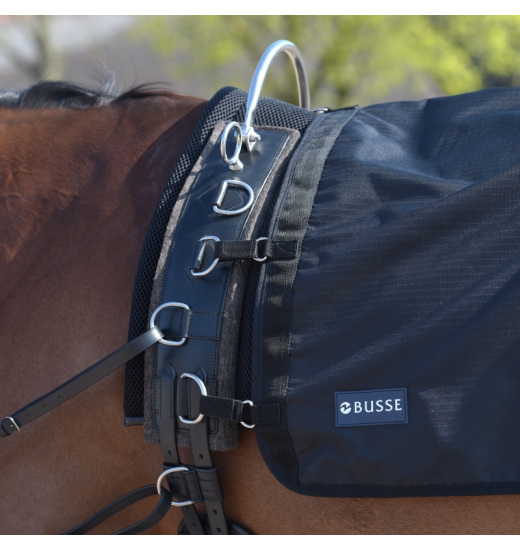 BUSSE RAIN 50 HORSE LUNGING SHEET Equestrian Shop