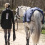 Busse BUSSE RAIN 50 HORSE LUNGING SHEET