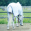 BUSSE HORSE SUMMER RUG EARLY SEASON