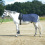 Busse BUSSE HORSE LUNGING FLY SHEET