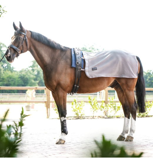 BUSSE HORSE LUNGING FLY SHEET