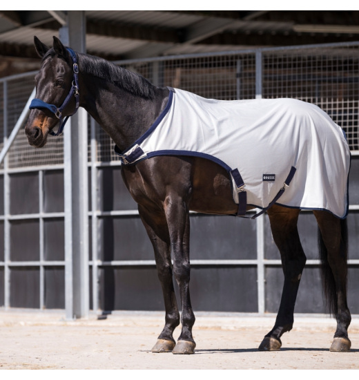 BUSSE FLY COMFORT HORSE TRAINING RUG