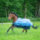 BUSSE 3D AIR RAIN HORSE TURNOUT RUG