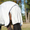 Busse BUSSE SUPERB HORSE TURNOUT FLY SHEET