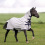 Busse BUSSE SUPERB HORSE TURNOUT FLY SHEET