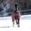 BUSSE FLEXIBLE PRO 50 HORSE TURNOUT RUG