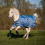 BUSSE WINDCHILL 00 HORSE TURNOUT RUG