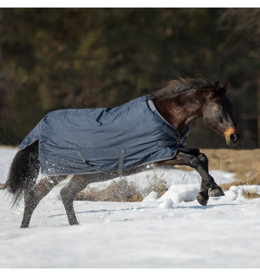 BUSSE FLEXIBLE PRO 250 HORSE TURNOUT RUG