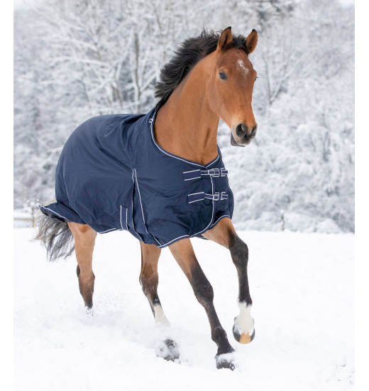 WALDHAUSEN ECONOMIC HORSE TURNOUT RUG 300 G