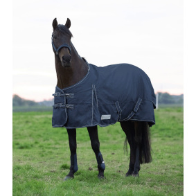 SWING P19 EQUESTRIAN ADULT SAFETY VEST WITH ZIPPER - EQUISHOP Equestrian  Shop