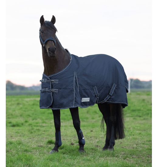 WALDHAUSEN ECONOMIC HORSE TURNOUT RUG 100 G