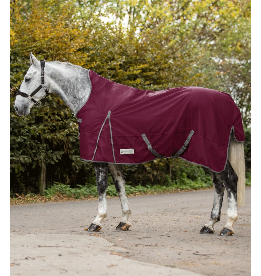 WALDHAUSEN ECONOMIC HORSE TURNOUT RUG HIGH NECK 200 G