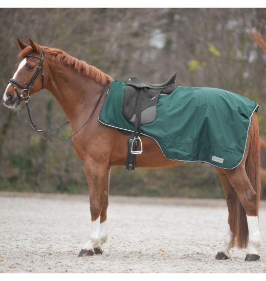 WALDHAUSEN COMFORT EQUESTRIAN EXERCISE SHEET WITH SADDLE CUT