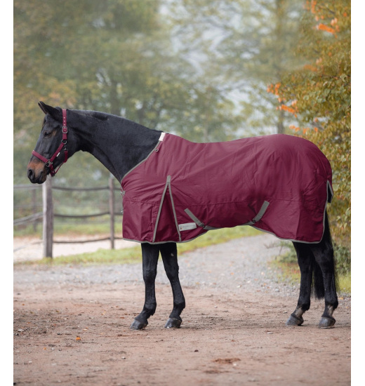 WALDHAUSEN ECONOMIC HORSE TURNOUT RUG FLEECE