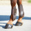 Busse BUSSE BOUNCE GLITTER HORSE TENDON BOOTS