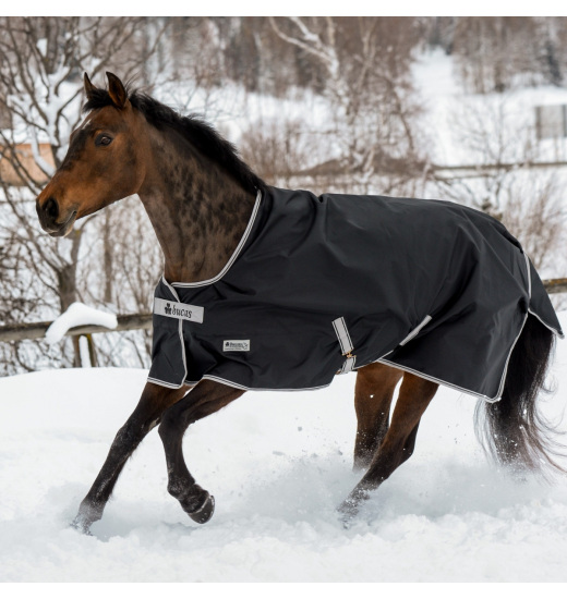 BUCAS ANNIVERSARY TURNOUT 150 STAY DRY HORSE RUG Equestrian Shop
