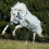 BUCAS POWER TURNOUT MEDIUM HORSE RUG