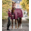 WALDHAUSEN ECONOMIC HORSE TURNOUT RUG 200 G