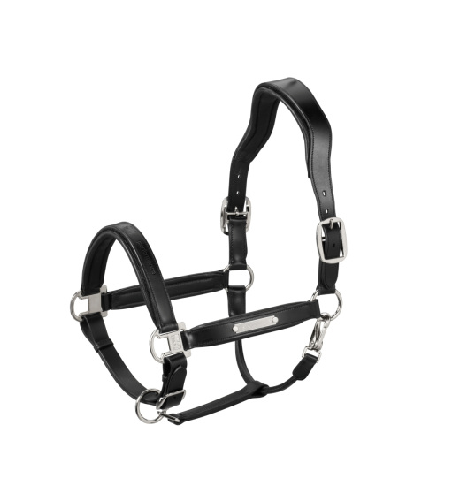 ESKADRON LEATHER STALLION HORSE HALTER