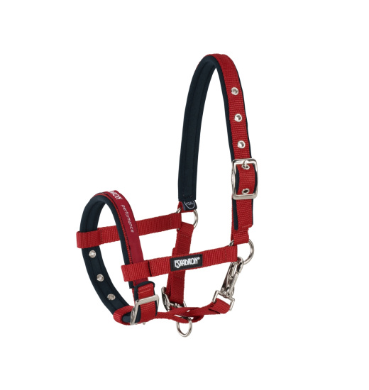 ESKADRON FOHLEN FOAL HALTER