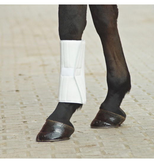 BUSSE HORSE LEG WRAPS KLETT 54X45