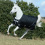 Bucas BUCAS ANNIVERSARY TURNOUT LIGHT SD HORSE RUG