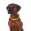 HKM HKM LED GLOWING COLLAR FOR DOG