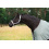 Eskadron ESKADRON GAMMA 840D TURNOUT RUG CLASSIC SPORTS